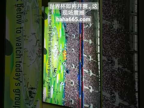 快乐运动图,增强体质,学生欢笑成,世界杯小组赛,2026世界杯赛程,小组赛分析,球队动态,比赛预测