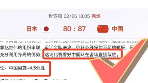 切尔西客场迎战纽卡斯尔：帕尔默&加纳乔领衔，凯塞多、内托蓄势待发！