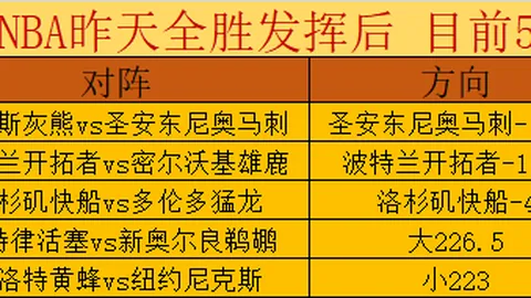 巴西年轻球员弗蘭卡加盟水晶宫，19岁闪耀足坛！