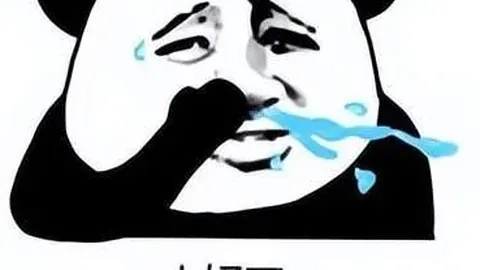 B费取名背后的传奇